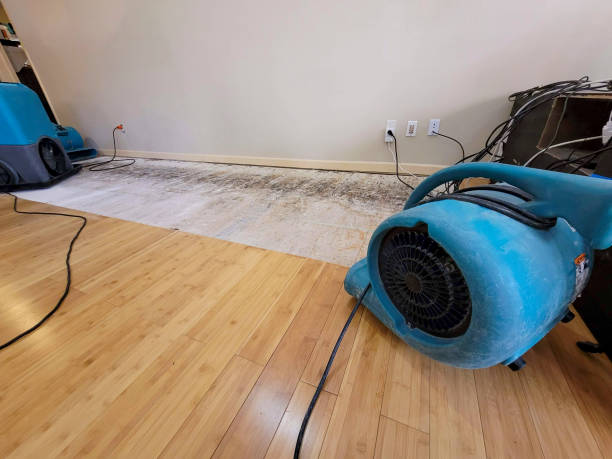 Professional Water Damage Repair technician working in DeBary, FL